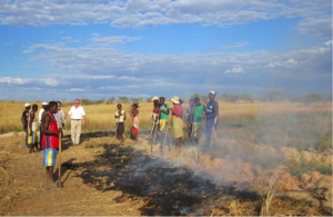 May 2019: Creating firebreaks